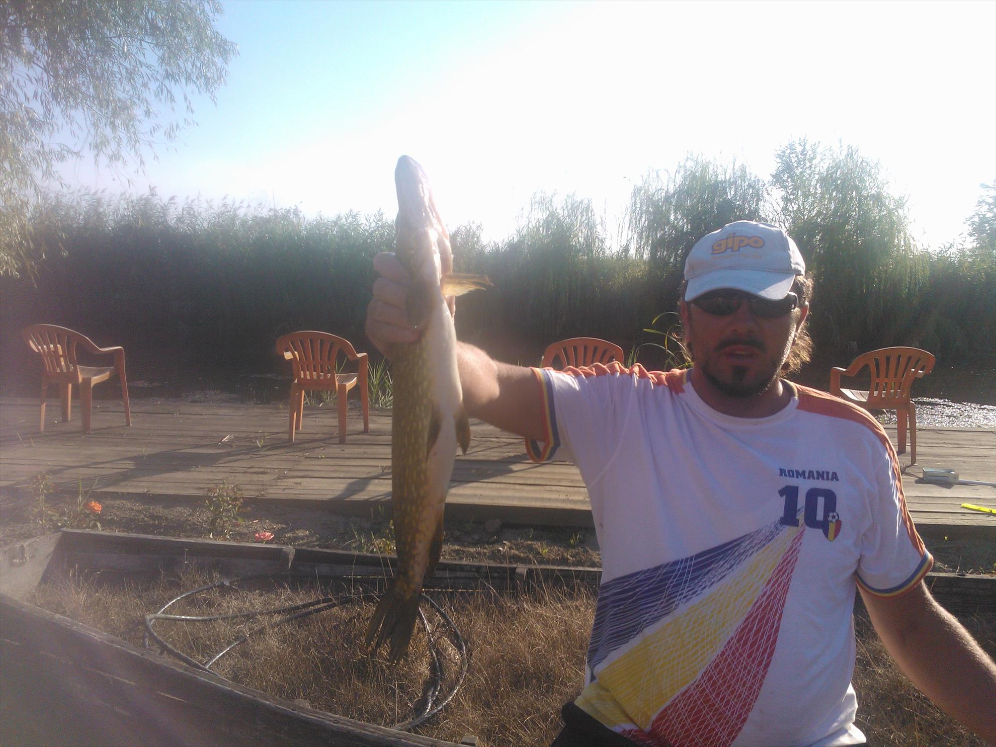 Delta Dunarii - Delta Paradis - wp000257.jpg